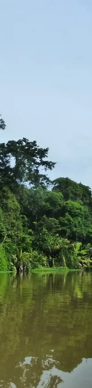 Mit dem Kajak durch den Tortuguero Nationalpark